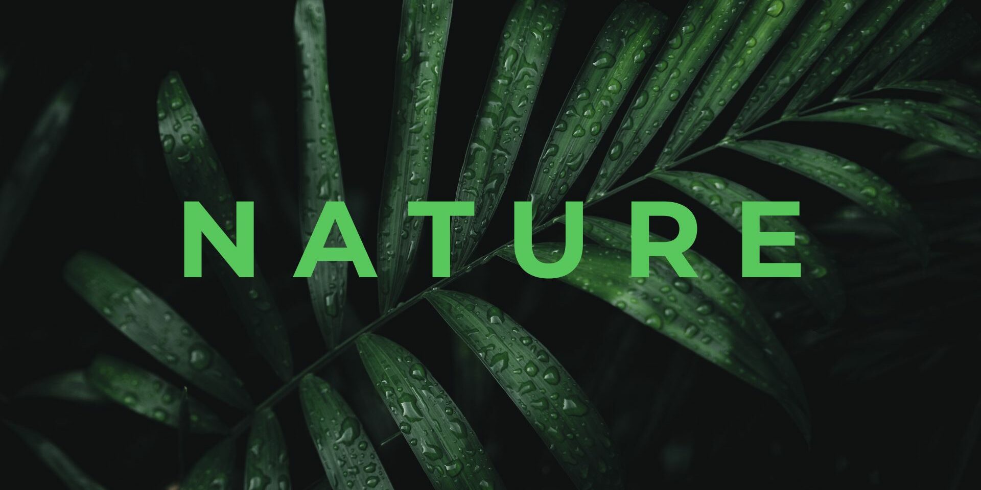 Nature Site slideshow Nature Site slideshow
